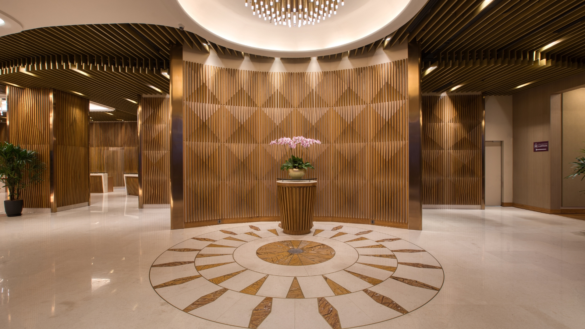 xr:d:DAFWxyc-rdM:2,j:1433683786,t:23010507