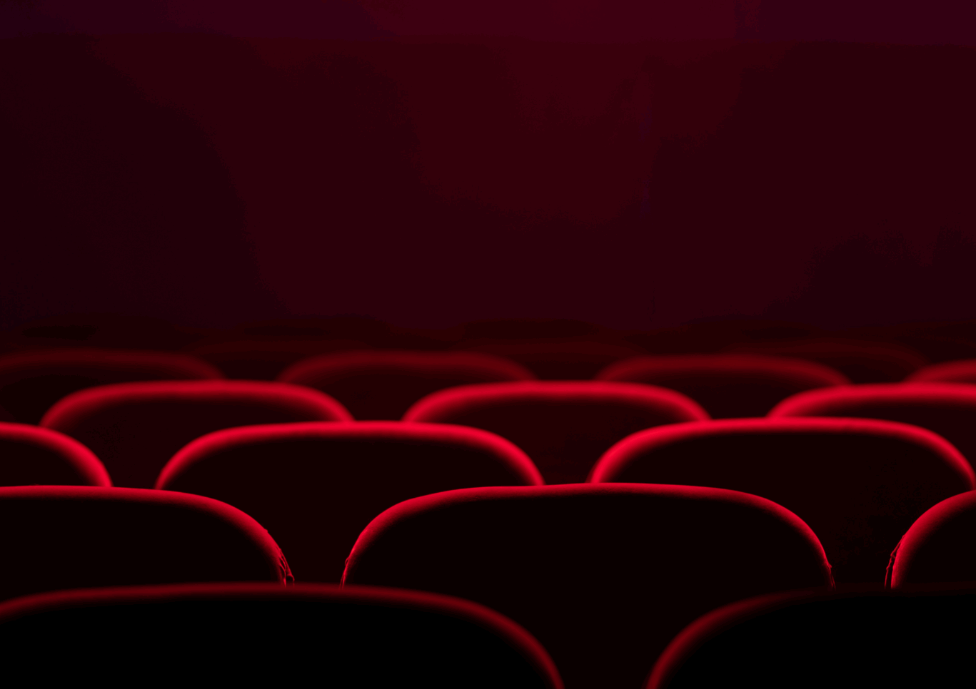 Newsletter images (39)