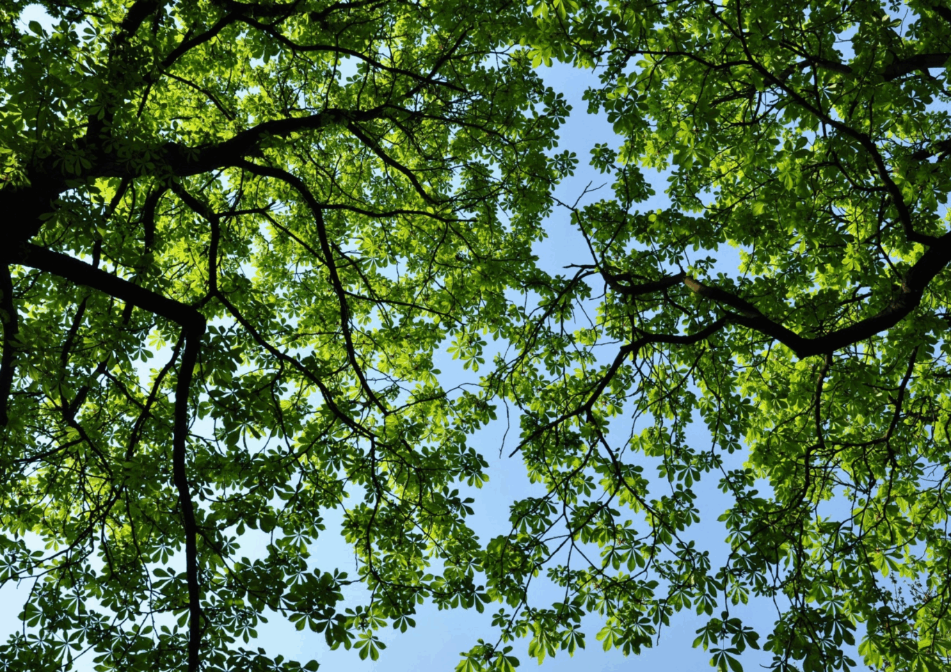 Newsletter images (56)