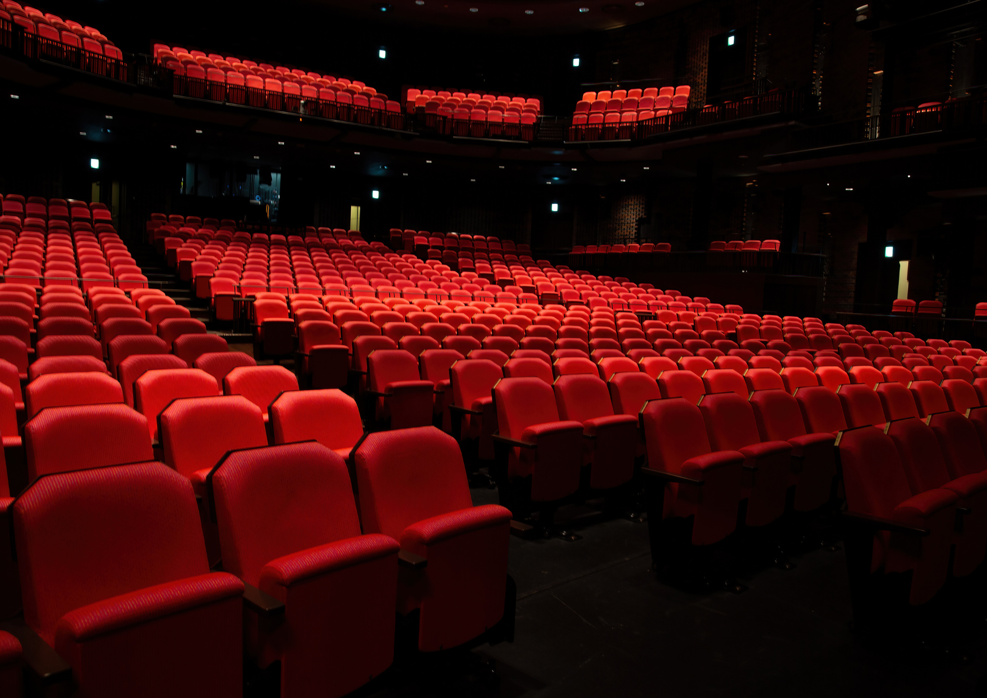 Newsletter images (60)